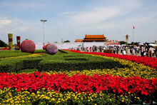 天安门广场花坛基本完成游客如织