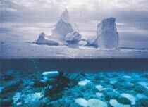 未来200年海平面上升至少1米 东京或被淹没