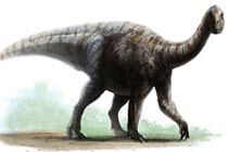 古生物学者发现恐龙也得颈椎病：和人类很相近
