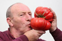 英国秋季花展举办巨型蔬菜大赛