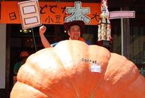 日本男子种出1200斤大南瓜 将赴美国参赛