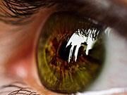 谷歌公司新型液态设备可植入人类眼球之中