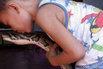 男子九年前救了一条小蛇，蛇这样报恩！