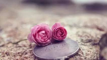 舍得才能获得， 忘记才能心宁， 宽容才能得众