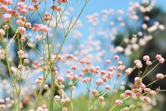 句句入心的句子说说