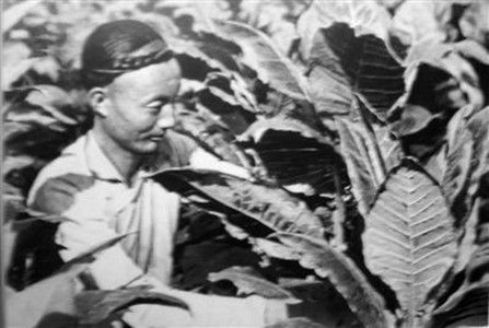 明清两朝禁烟令再严酷为何仍然屡次失败？