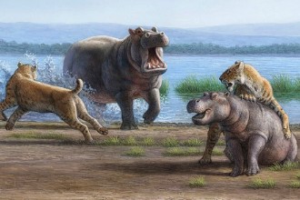 狮子老虎都没灭绝，曾经雄霸一时的剑齿虎，为何走上灭绝之路