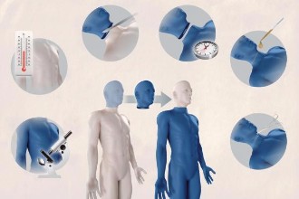 头颅能成功移植 人的大脑能移植吗？