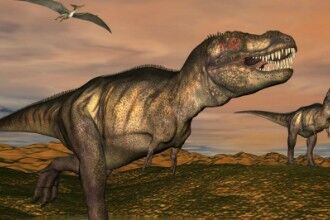 恐龙真的彻底被灭绝了？鸟类可能就是现在地球上活着的恐龙