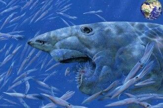 珠峰发现旋齿鲨牙齿化石，旋齿来锯掉猎物的外壳！