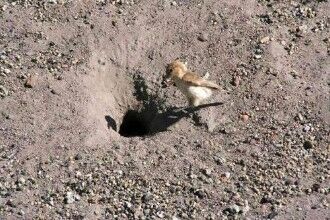 解密已被破解的十大世界未解之谜