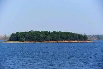 铜山湖水怪探秘：皮肤粗糙带有铜钱般灰色鳞片