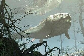 梅氏利维坦鲸的头颅化石被发现，科学家推测65吨重