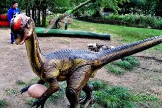 窃蛋龙,被冤枉7500万年终于得平反