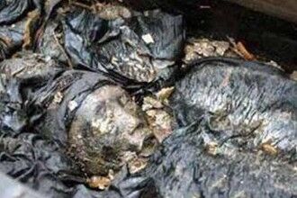 千年巨蛇镇守古墓竟借尸还魂