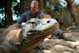 上古巨蜥自身带毒性和毒液,长8米重2吨