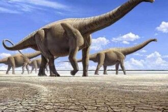 世界十大活化石 与恐龙共存近七千万年