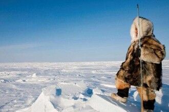 解密爱斯基摩人吃肉的人生，超重口味