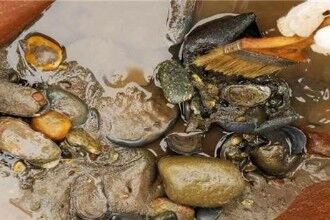 张献忠宝藏被发现 沉银与屠杀两大传说浮出水面