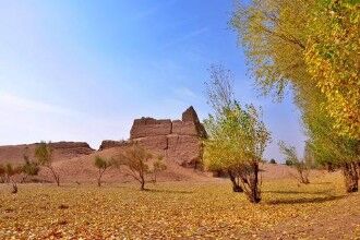 玛雅人弃城的原因 自然灾害还是人为斗争？