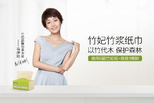竹妃纸巾代言人——马伊琍