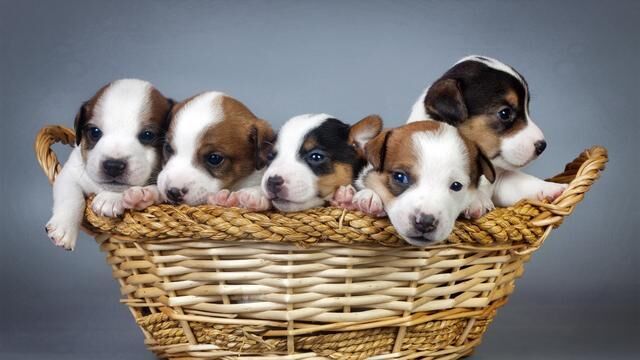 长相漂亮，最容易撩动男人心弦的三大星座女