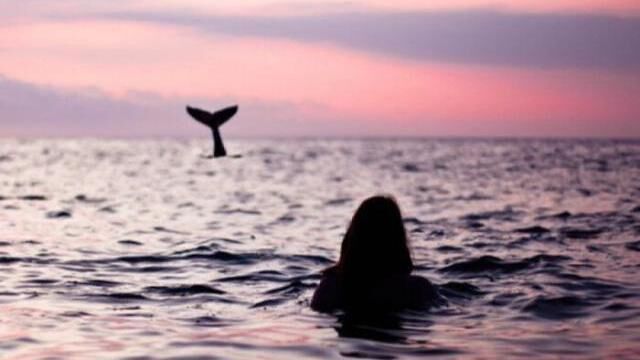 有人桃花朵朵，有人无花可开？原来是因为金星在这些星座