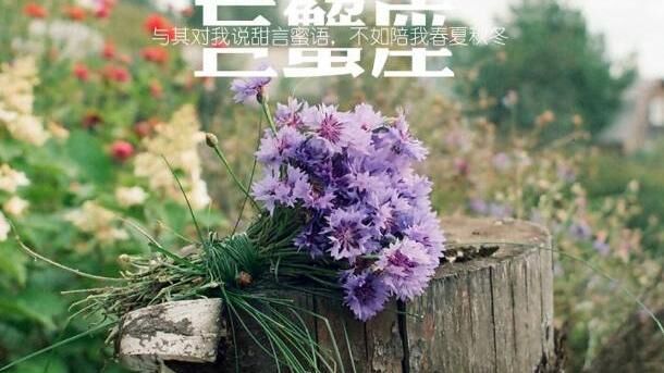 胡思乱想最在行，忽冷忽热忒磨人的星座