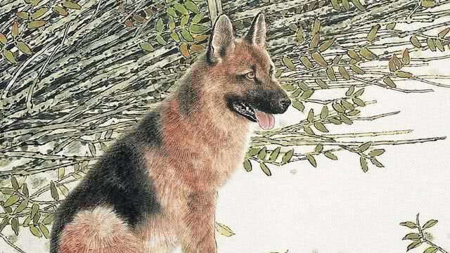 妻子是此3生肖，在家贤惠体贴，在外女强人，旺夫又聚财