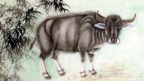 生肖鸡和哪个生肖最般配？夫妻同心家业旺，子孙满堂寿命长