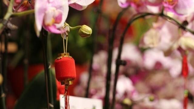 忍无可忍无需再忍，能够顾全大局，却不会事事迁就的星座