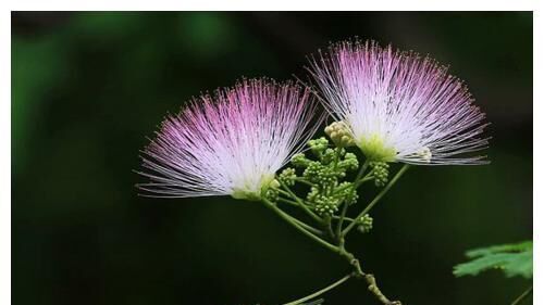 情商极高的4大星座，人缘很好，魅力无法抵挡！