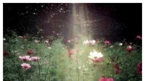 爱人更爱己的三个星座，爱的理智，从不委曲求全