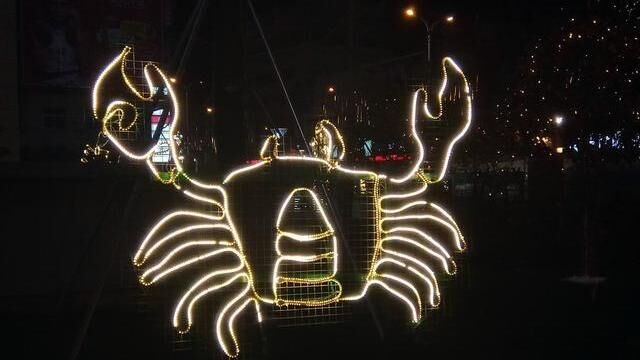 挑老公的时候，眼光最毒的5个星座女，毒！