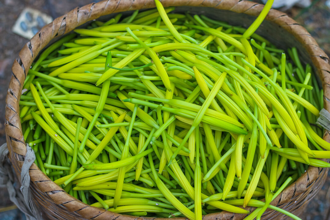 农村人半夜3点就出门摘这种菜，一年的收入就指着它