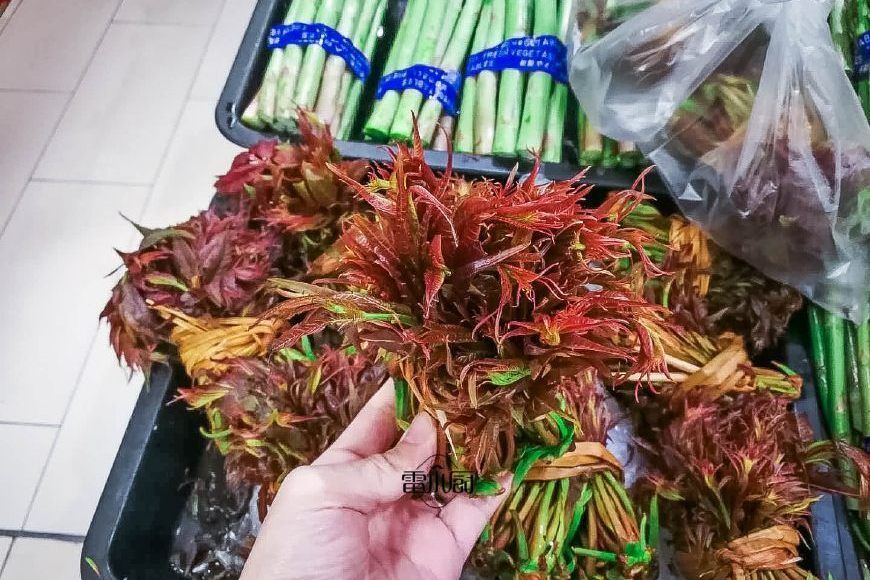 这个菜刚上市，它一斤的价格可以买39只小龙虾，26只皮皮虾！