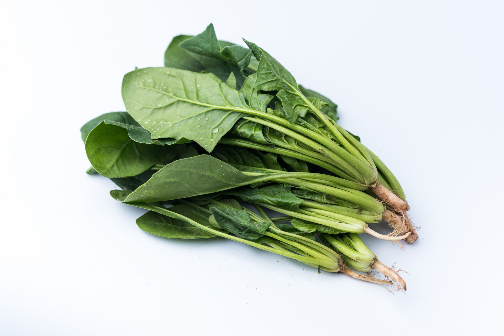 女性流产和精子是有关系的