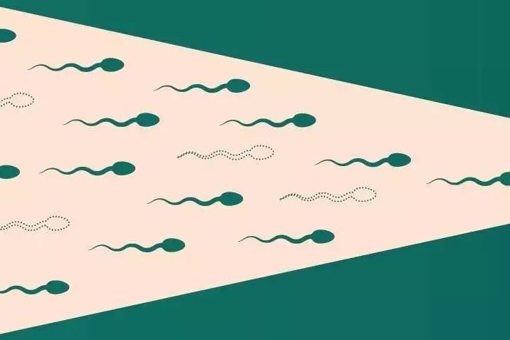 精子吃下去能怀孕？还能美容？