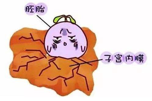 子宫内膜让我欢喜让我愁  ​