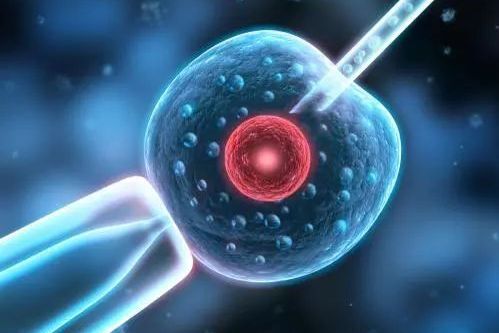 移殖后需要大补吗？