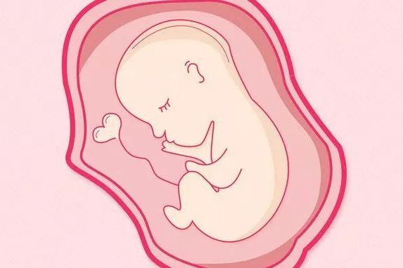 两个月宝宝重是多少？怀孕生气影响胎儿