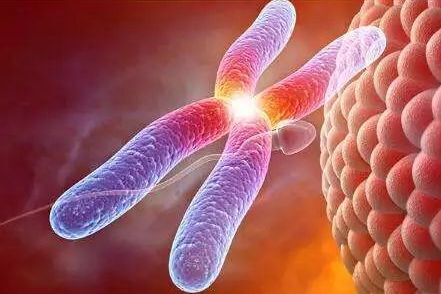 高龄孕妈看过来