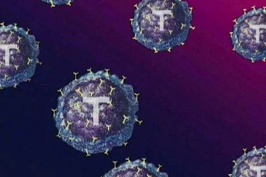 自己的细胞会伤到子宫和胚胎？