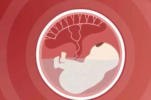 胎盘能吃吗？ ​