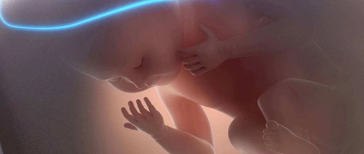 宝宝没有鼻梁怎么办？