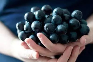 辟谣：葡萄胎不是怪胎