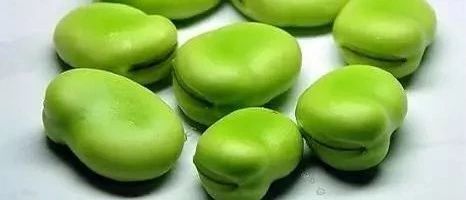 蚕豆病原来是遗传得到的