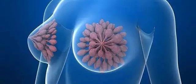 你一定愿意做宝宝的奶牛吧