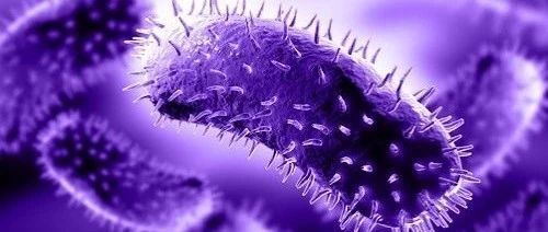 怀孕了单纯疱疹病毒感染也没那么可怕