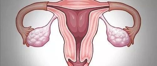 精子和卵子见不上面，怎么能造出人来？